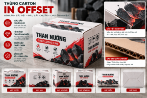 In Thùng Carton Offset