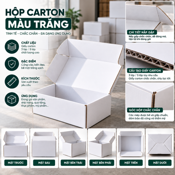 Thùng Carton Trắng