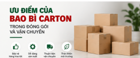 Ưu Điểm Của Bao Bì Carton Trong Đóng Gói Và Vận Chuyển